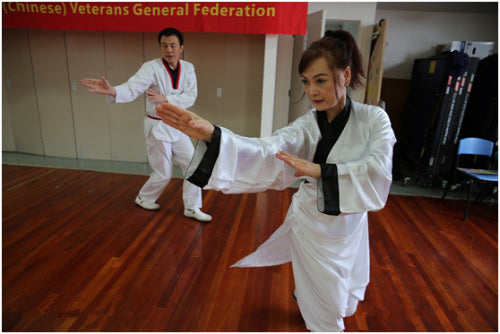 Dr. Li's Journey In Promoting Traditional Chinese Medicine & Martial Arts - Overseas Chinese Network Headline - People's Daily