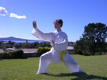 Load image into Gallery viewer, Taichi &amp; Meditation [Flexi-term]
